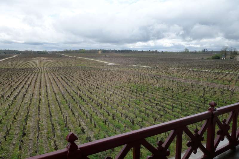 The view of the vineyards from the Pontet Canet tasting room