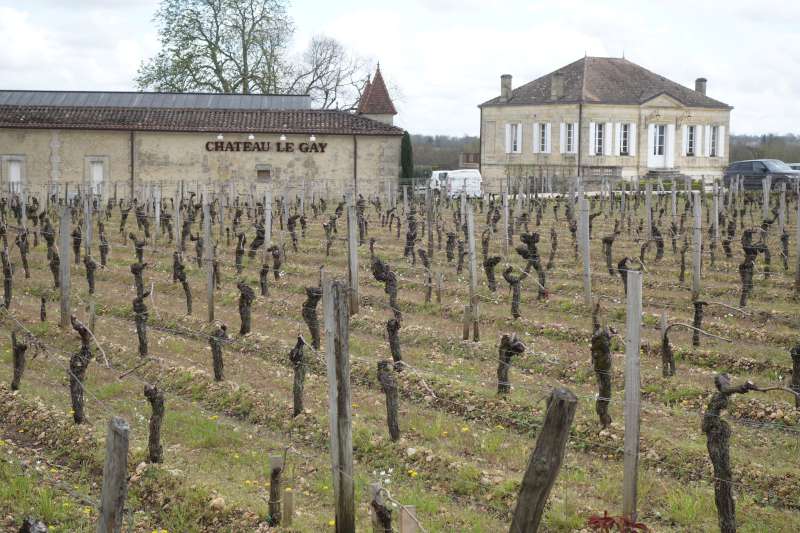 The vineyards at Chateau Le Gay