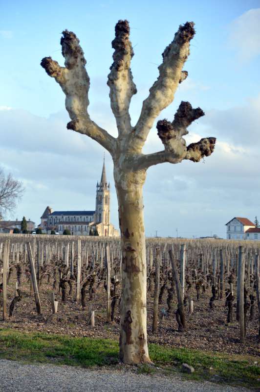 The view from L'Eglise Clinet