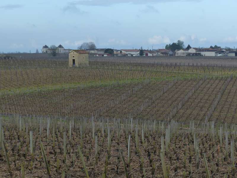Saint Estèphe landscape.