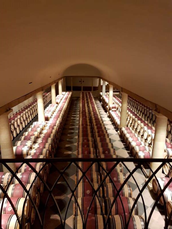 Barrels at Mission Haut Brion