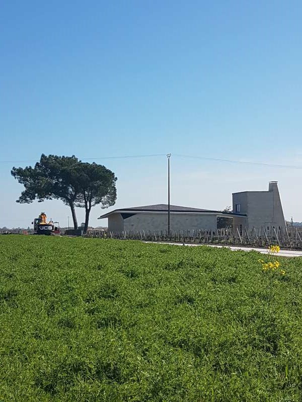 The winery at Le Pin