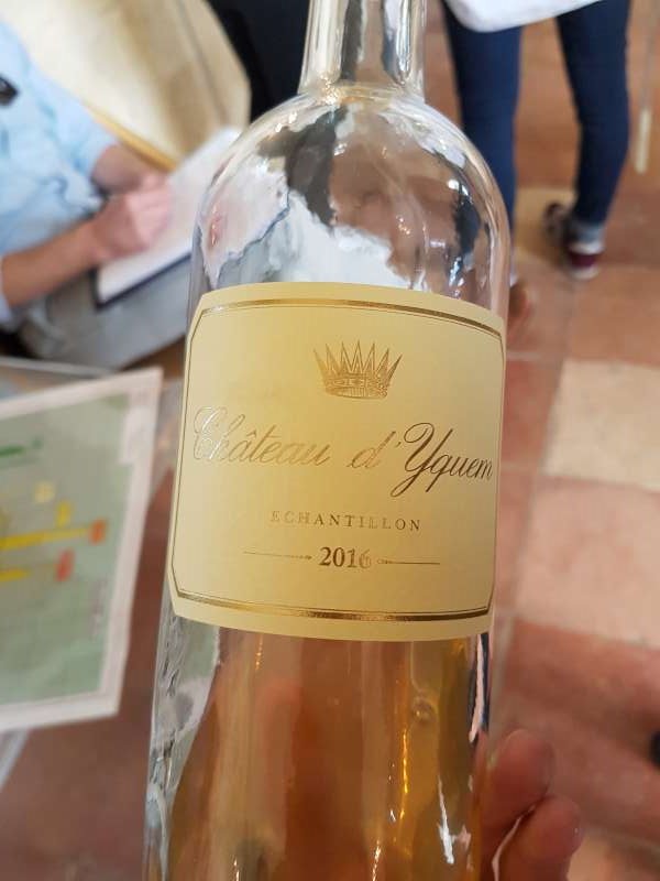 Yquem 2016
