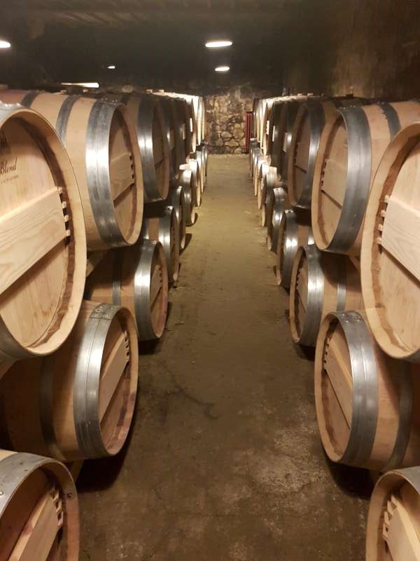 The cellar at Tertre Roteboeuf