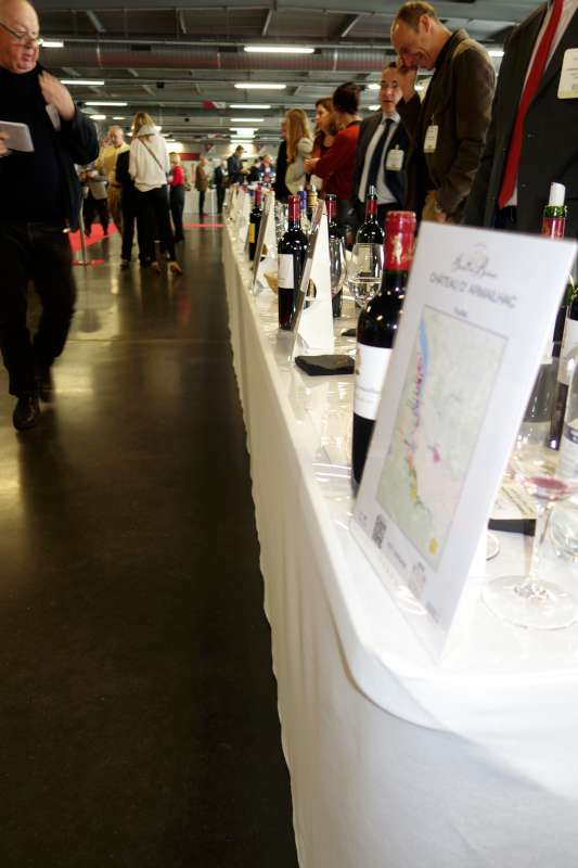 The wines lined up, ready to be tasted