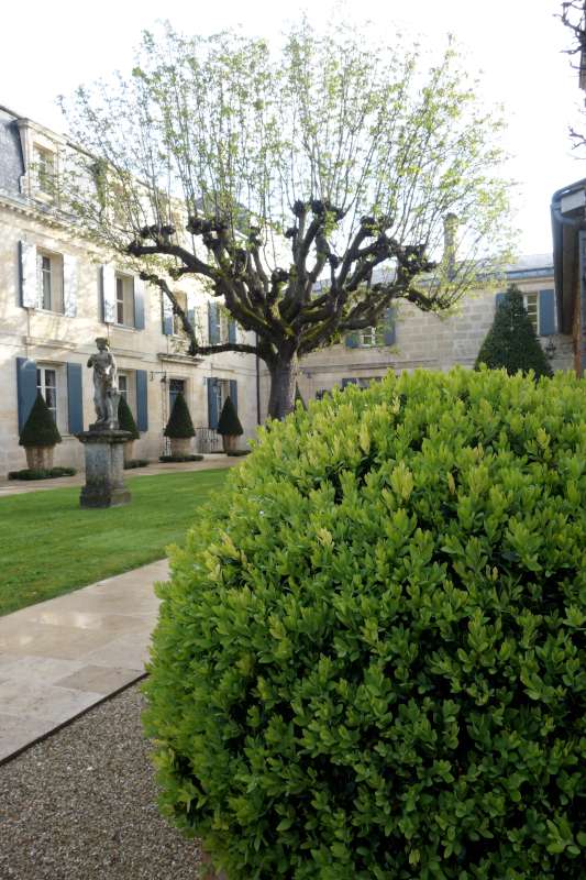 The garden at Mission Haut Brion