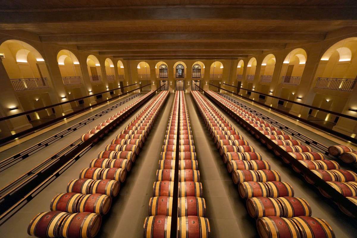 The barrel cellar at Château Montrose