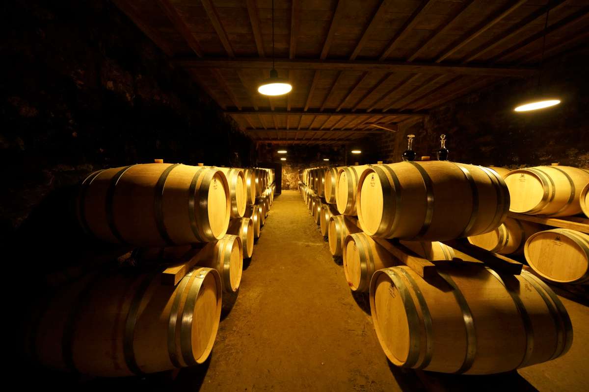 The barrel cellar at Château Tertre-Roteboeuf