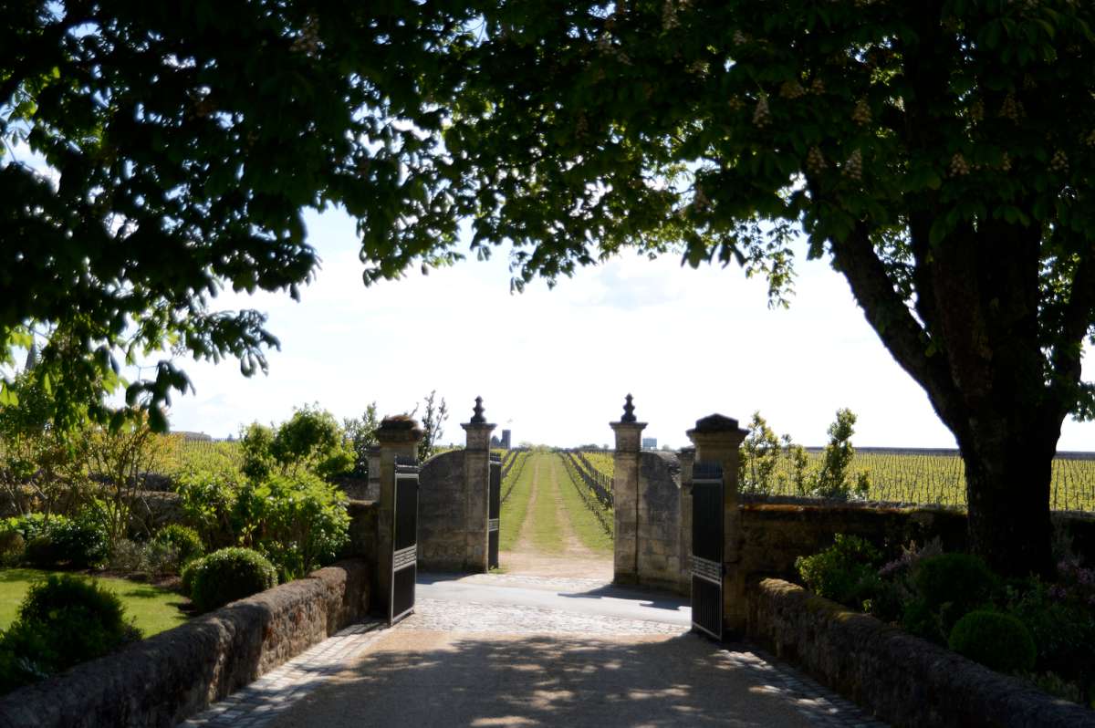 The entrance to the vineyard at Château Canon