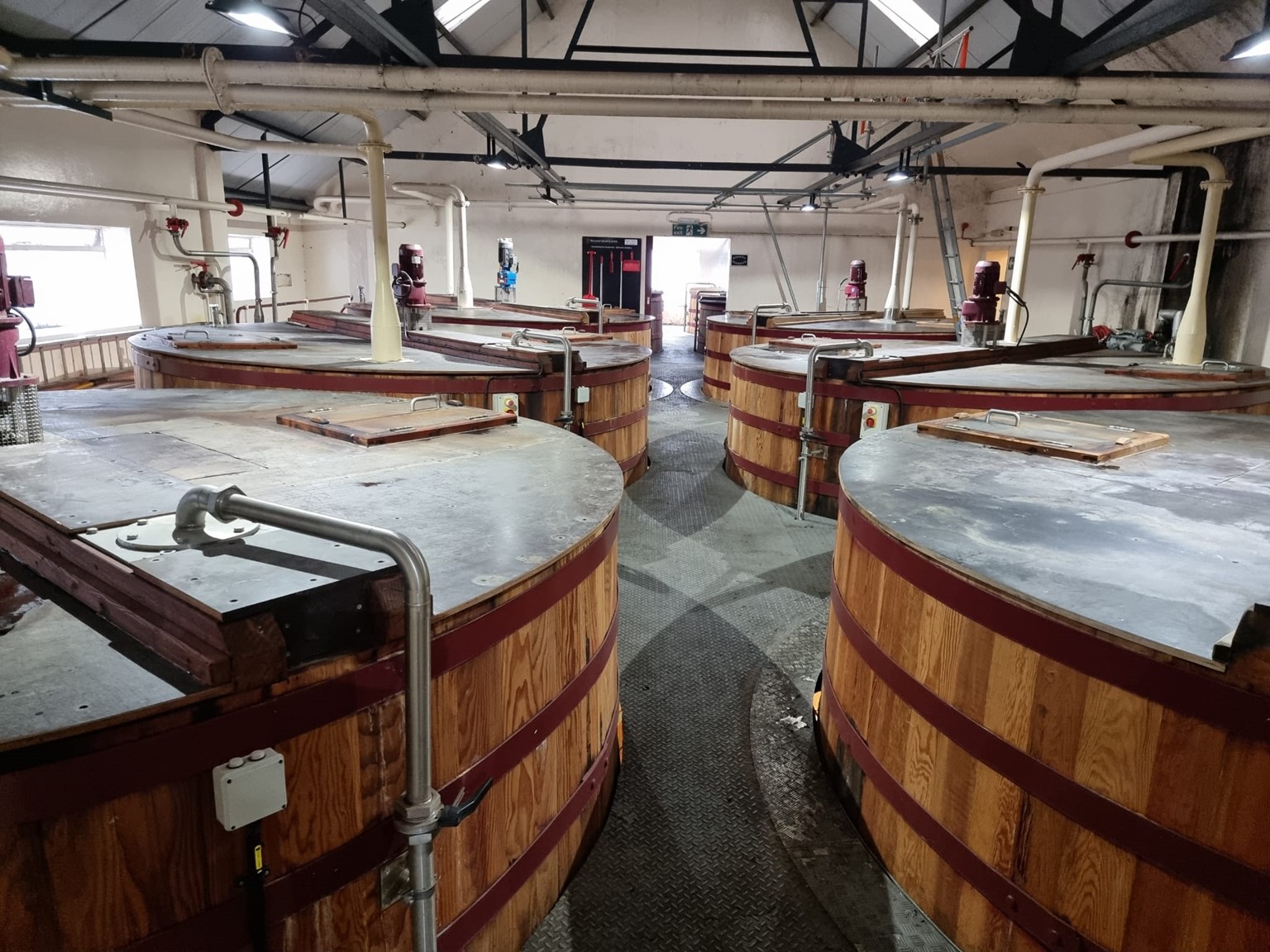 Wooden washbacks where the all-important fermentation process takes place.