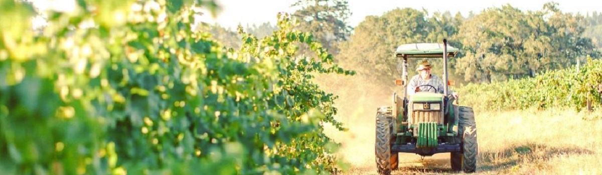 George Bohan, whose vineyard is the source of the fruit for the Salt Point Chardonnay