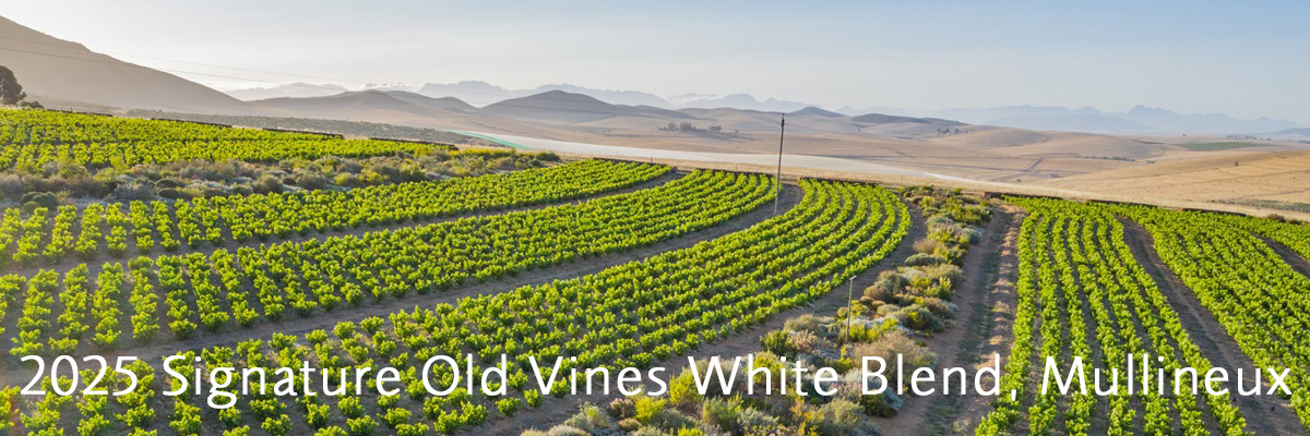 2025 Mullineux Old Vines White